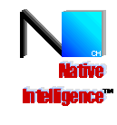 NI logo